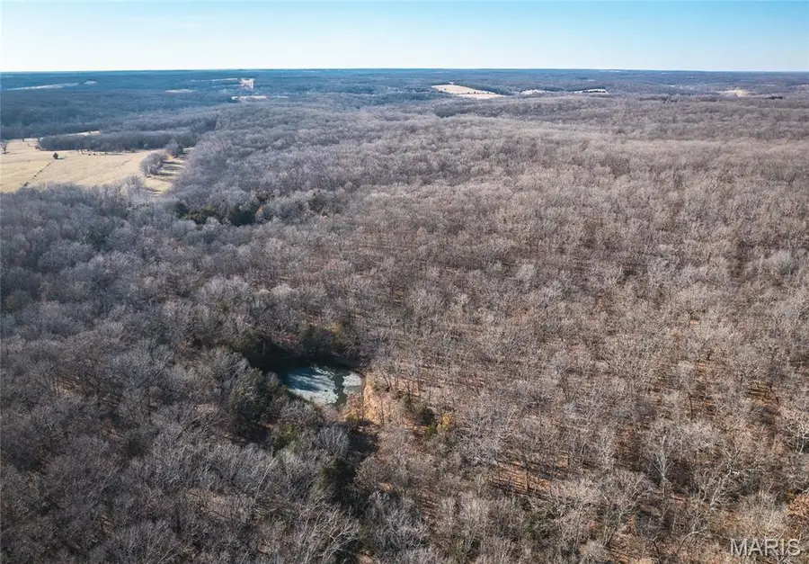 38925 Stone Piler Avenue, Edwards, MO 65326 - #3