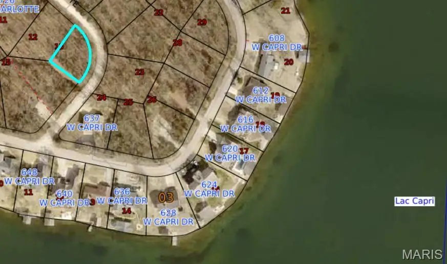 00 Rue Charlotte, Bonne Terre, MO 63628 - #1