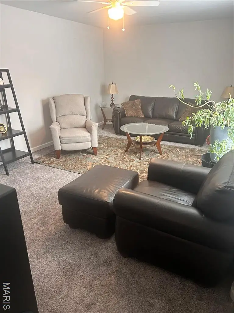 6805 Trois Court, Florissant, MO 63033 - #3