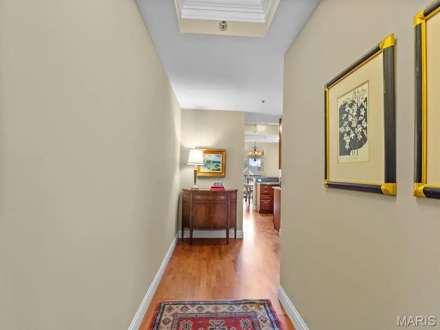 520 North And South #301, University City, MO 63130 - #3