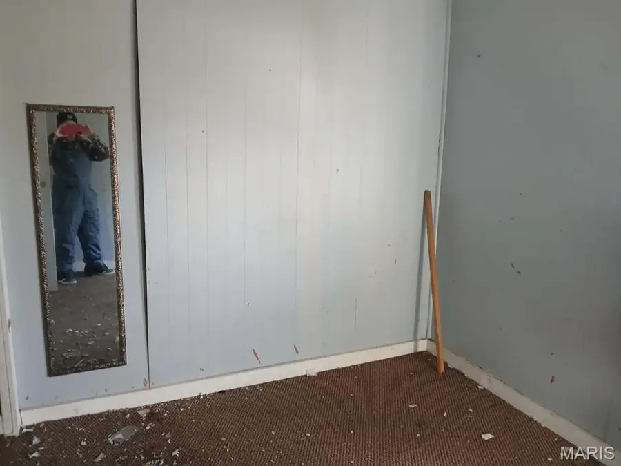 250 Abington Street, Poplar Bluff, MO 63901 - Image #3