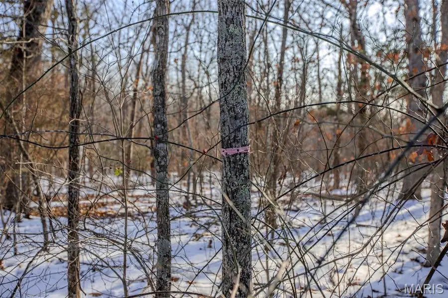 173 Hickory Drive, Cuba, MO 65453 - #3