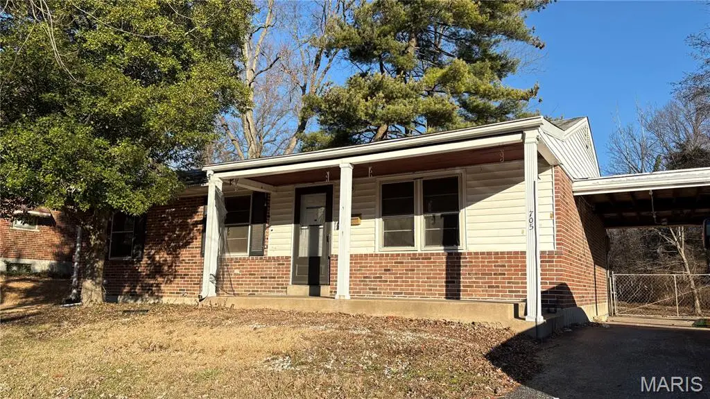 705 Palace Court, Saint Louis, MO 63135 - #1