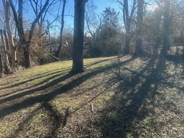 5658 Wilborn Drive, Jennings, MO 63136 - #3