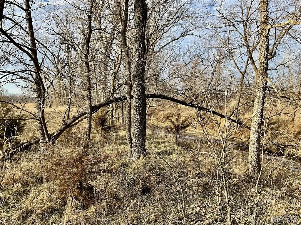 0 Buck Creek Road, Greentop, MO 63546 - #1