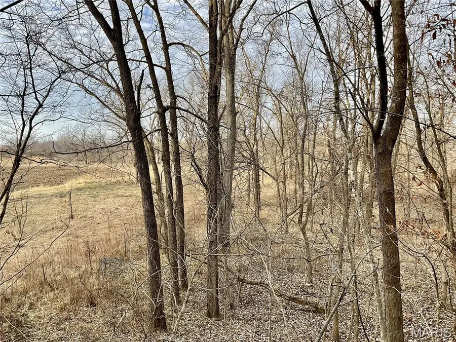 0 Buck Creek Road, Greentop, MO 63546 - #2