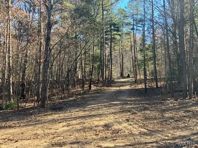 198 Madison Cr 410, Fredericktown, MO 63645 - #3