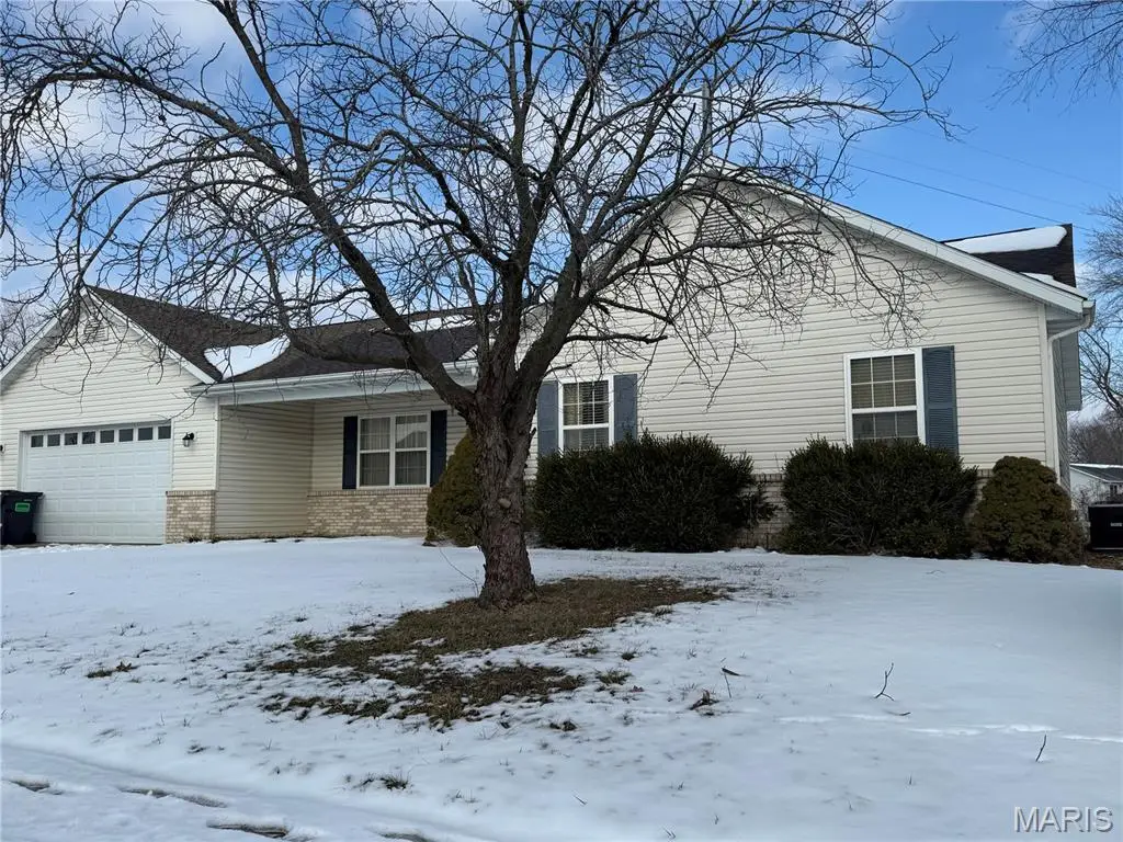 6 Cat Tail Court, Belleville, IL 62223 - #1