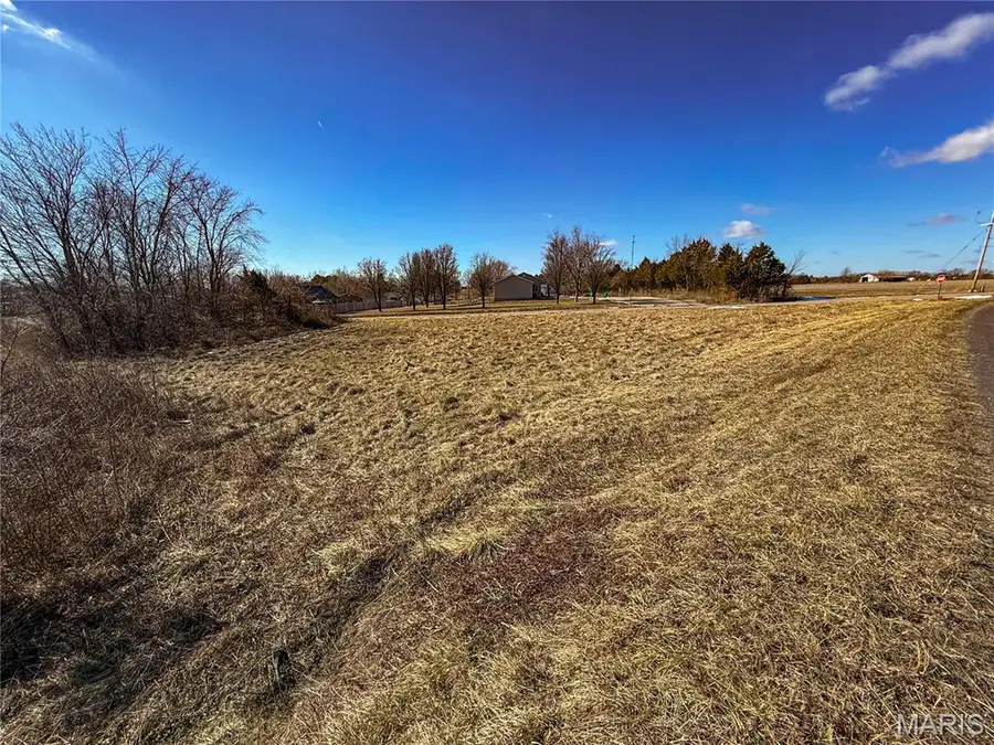 1000 W Link Street, Owensville, MO 65066 - #3