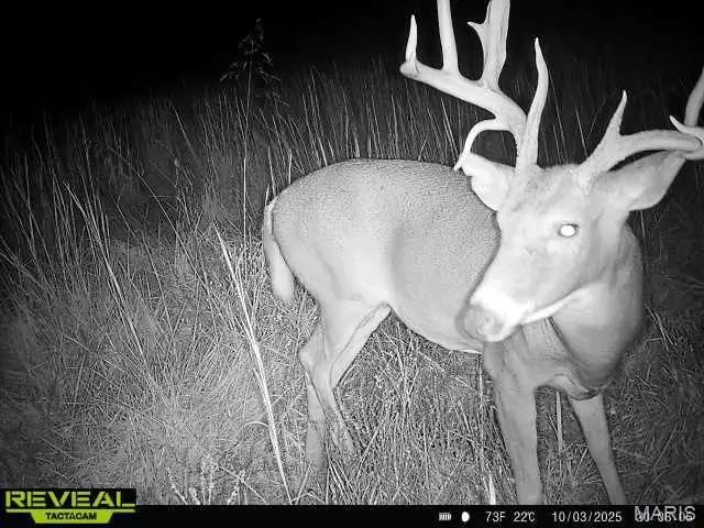 00 Sand Creek Bottom Road, Nineveh, MO 63546 - #2