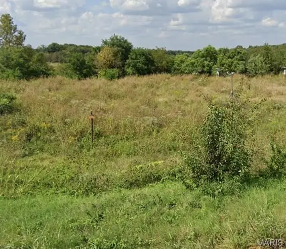 10865 Business 21, Hillsboro, MO 63050 - #1