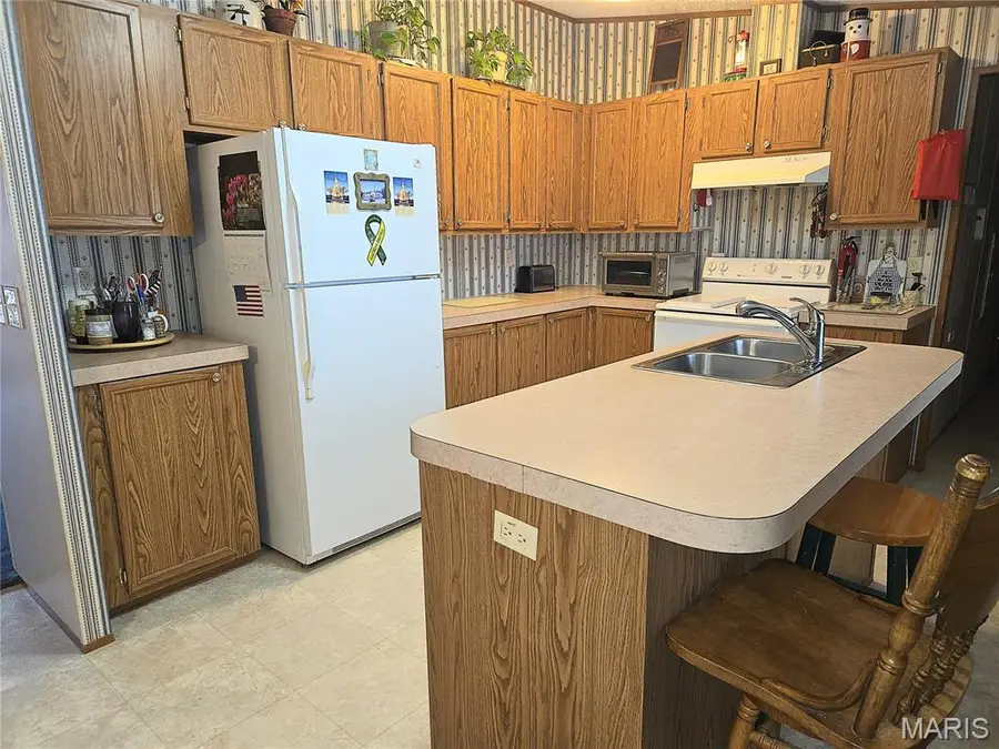 328 Sirius Road, De Soto, MO 63020 - #3