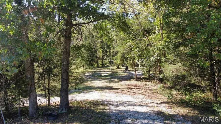 44705 Willow Lane, Monroe City, MO 63456 - #3