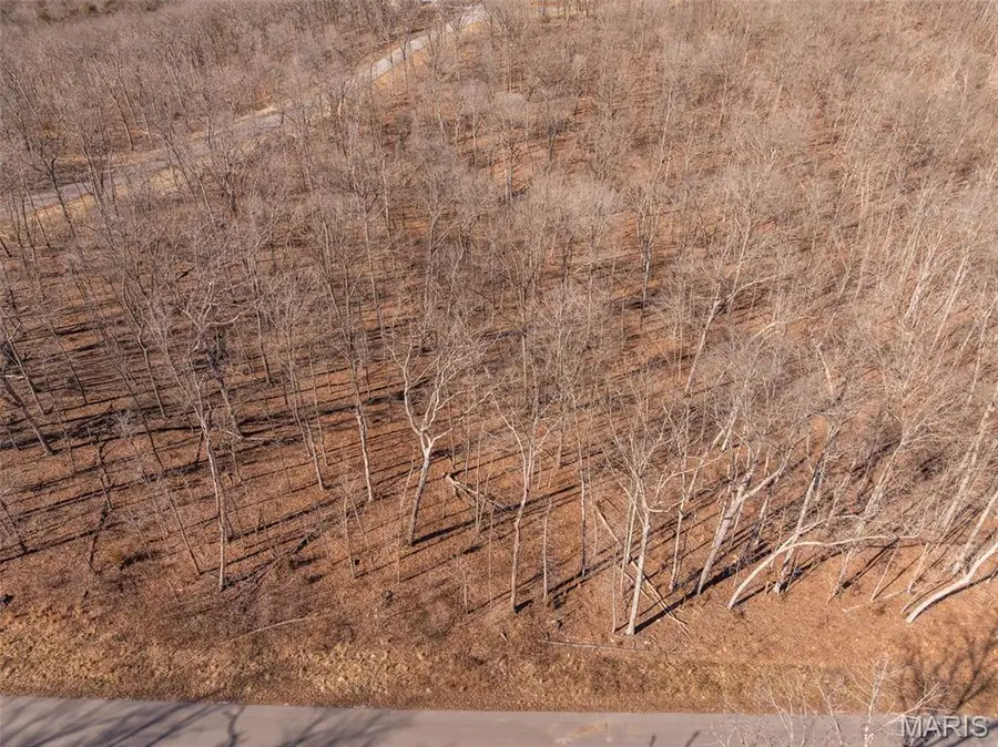 2832 Morgan Lake Drive, Innsbrook, MO 63390 - #3