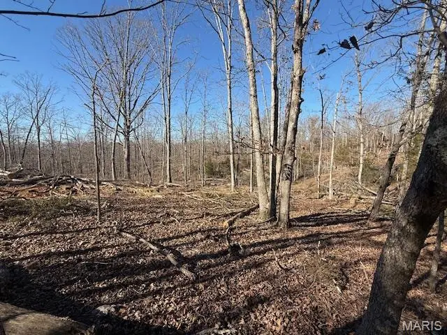 TBD County Road 4110, Rolla, MO 65401 - #2