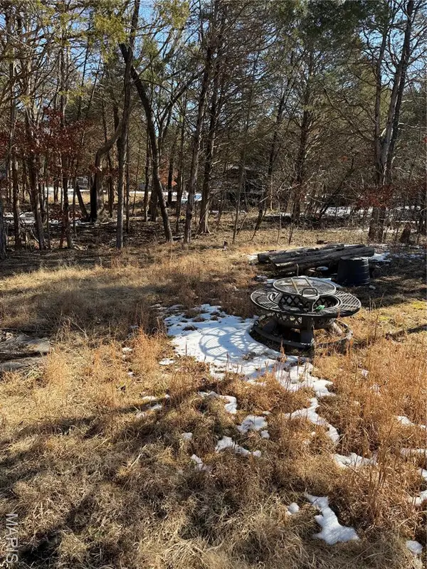 0 Camille Ct, Bonne Terre, MO 63628