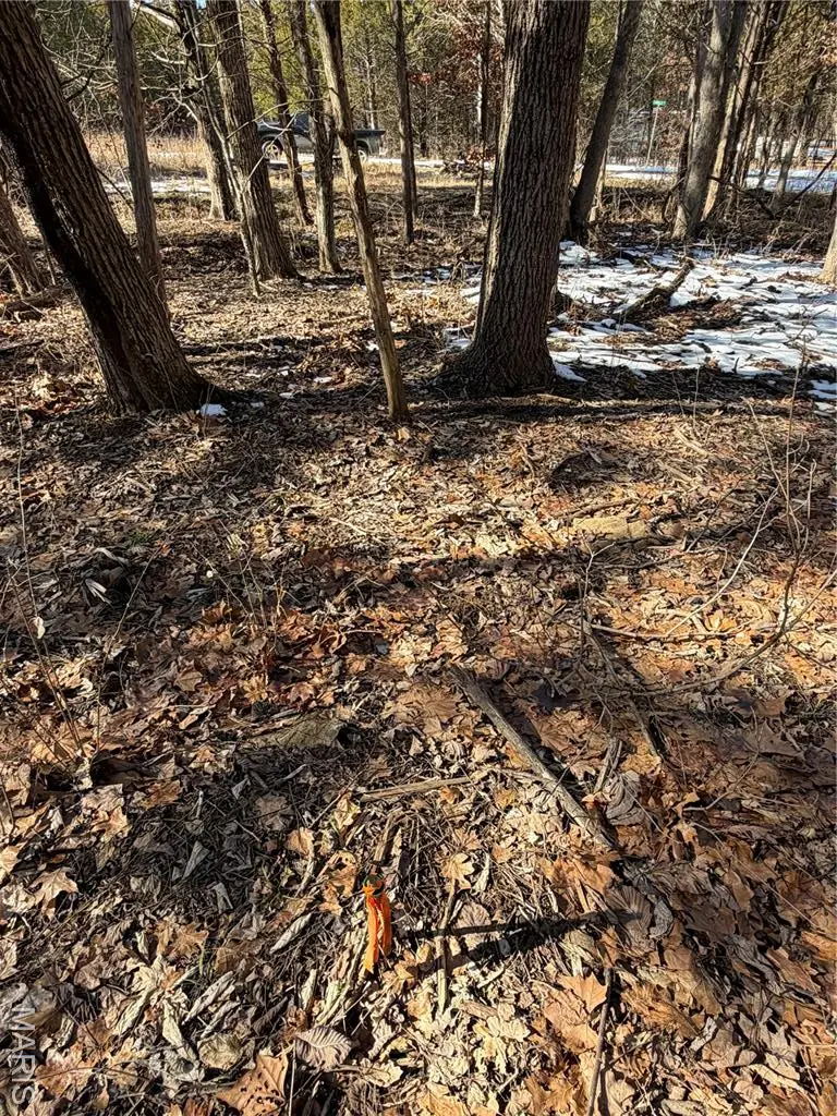 0 Camille Ct, Bonne Terre, MO 63628 - #2