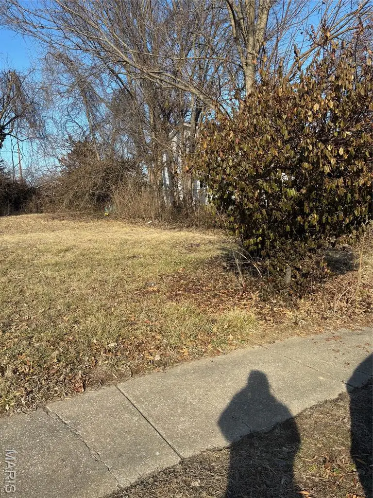 335 Electric Street, Kirkwood, MO 63122 - Image #1