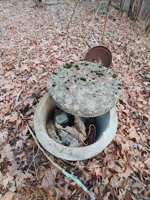 0 Thurman Lake Road, Cuba, MO 65453 - #2