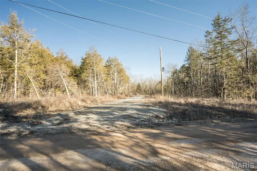 XXX Madison Co 529, Fredericktown, MO 63645 - #2