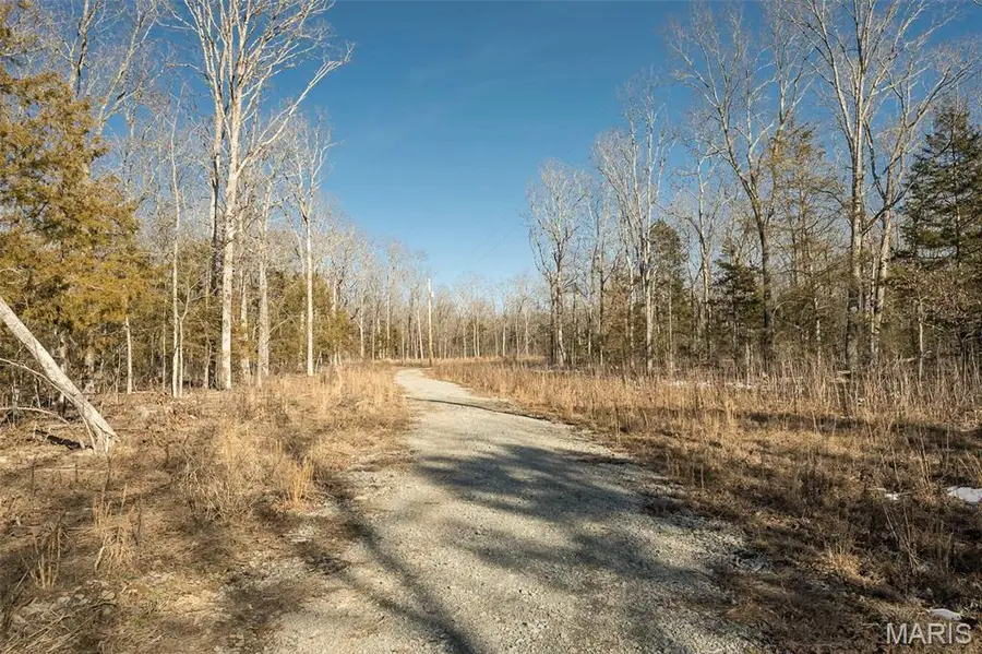 XXX Madison Co 529, Fredericktown, MO 63645 - #3