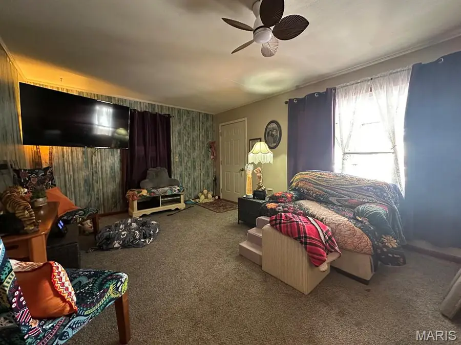 708 N Hickory Street, Dexter, MO 63841 - #3