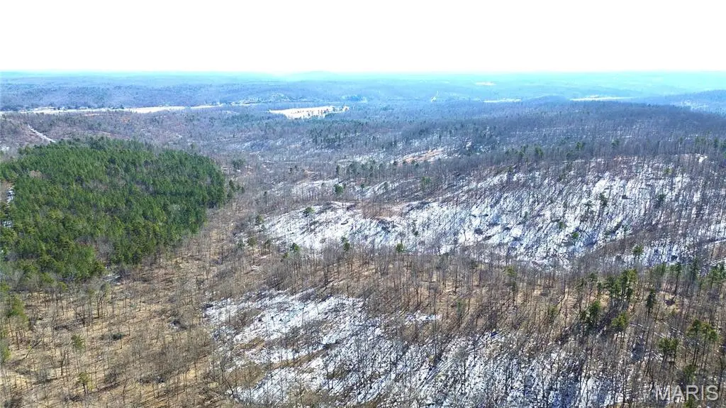 121A Madison Cr 411, Fredericktown, MO 63645 - #1