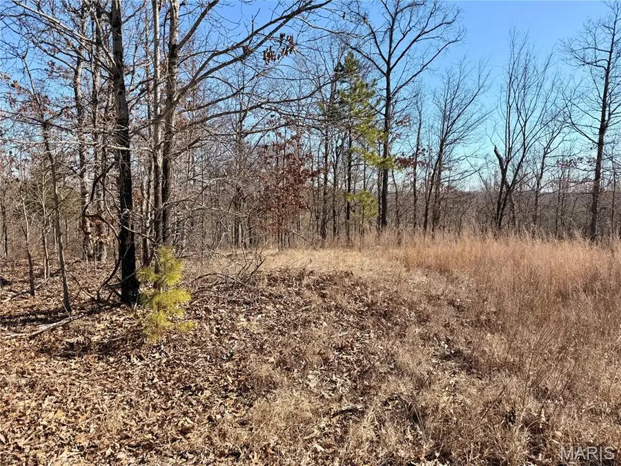 121A Madison Cr 411, Fredericktown, MO 63645 - #2