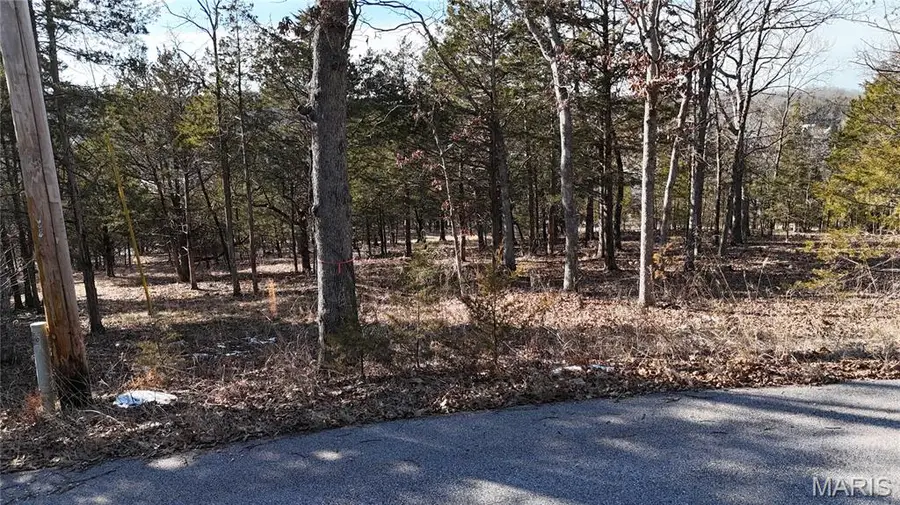 10321 Timber Hill Drive, Hillsboro, MO 63050 - #3