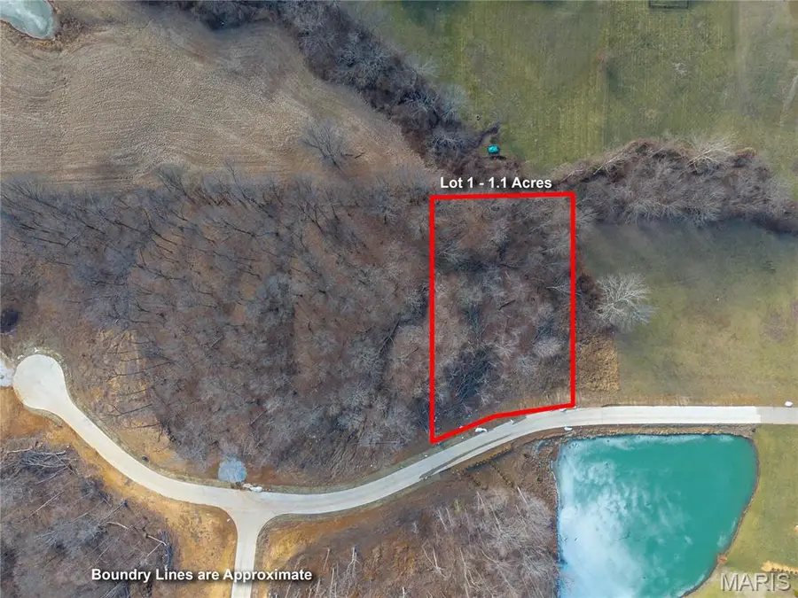 Lot 1 Heritage Farm Lane, Jackson, MO 63755 - #2