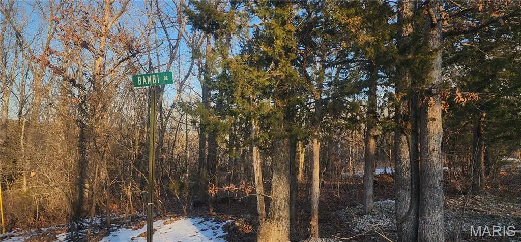 5917 Twin Fawn Ridge, Hillsboro, MO 63050 - #1