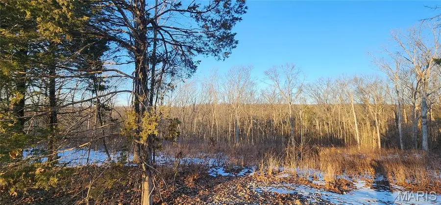 5917 Twin Fawn Ridge, Hillsboro, MO 63050 - #2