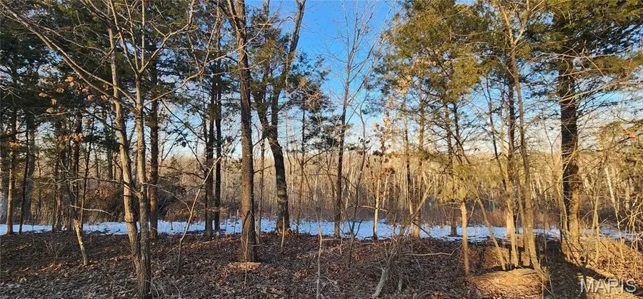 5917 Twin Fawn Ridge, Hillsboro, MO 63050 - #3