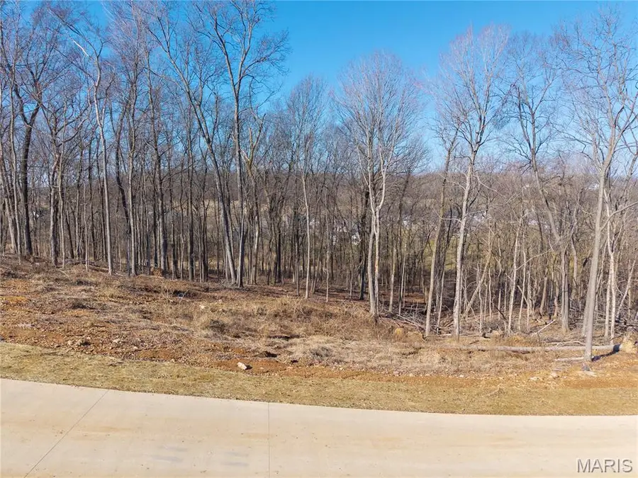 Lot 2 Heritage Farm Lane, Jackson, MO 63755 - #3