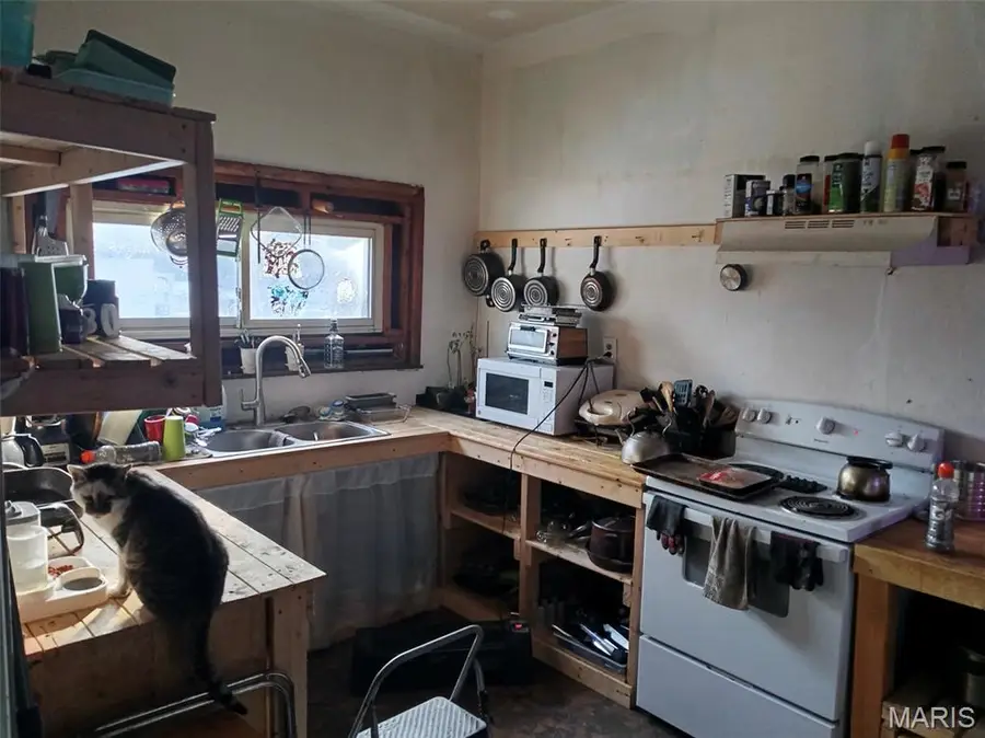 3020 Mount Pleasant Street, Saint Louis, MO 63111 - #3