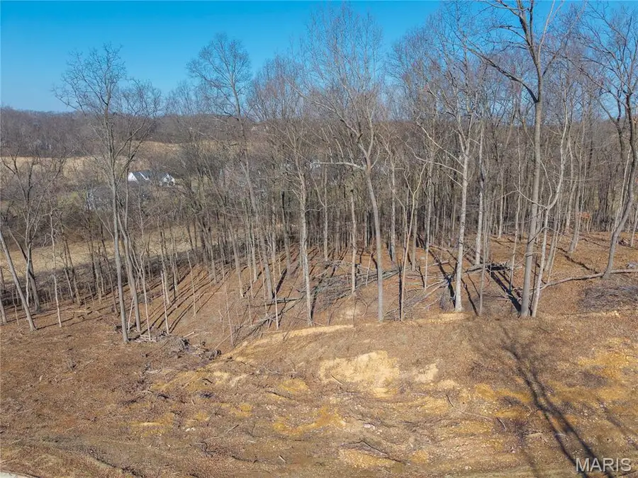 Lot 3 Heritage Farm Lane, Jackson, MO 63755 - #3