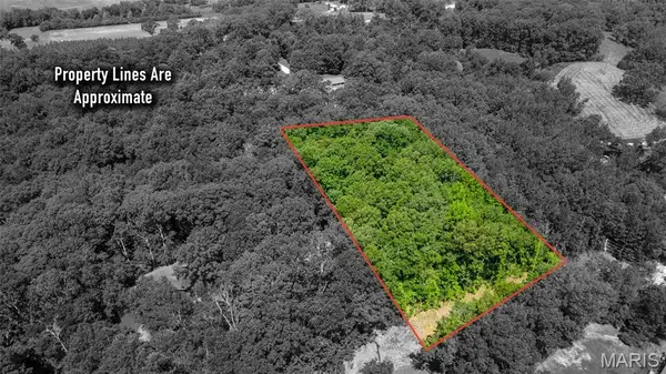 Lots B-63&65 Bella Vista Dr, Jackson, MO 63755