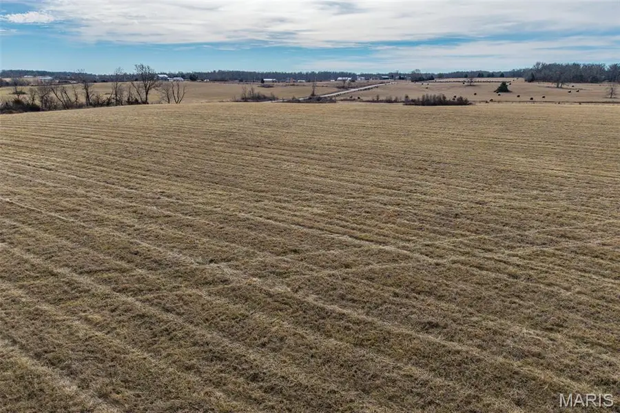 19600 Oasis Drive, Phillipsburg, MO 65722 - #2