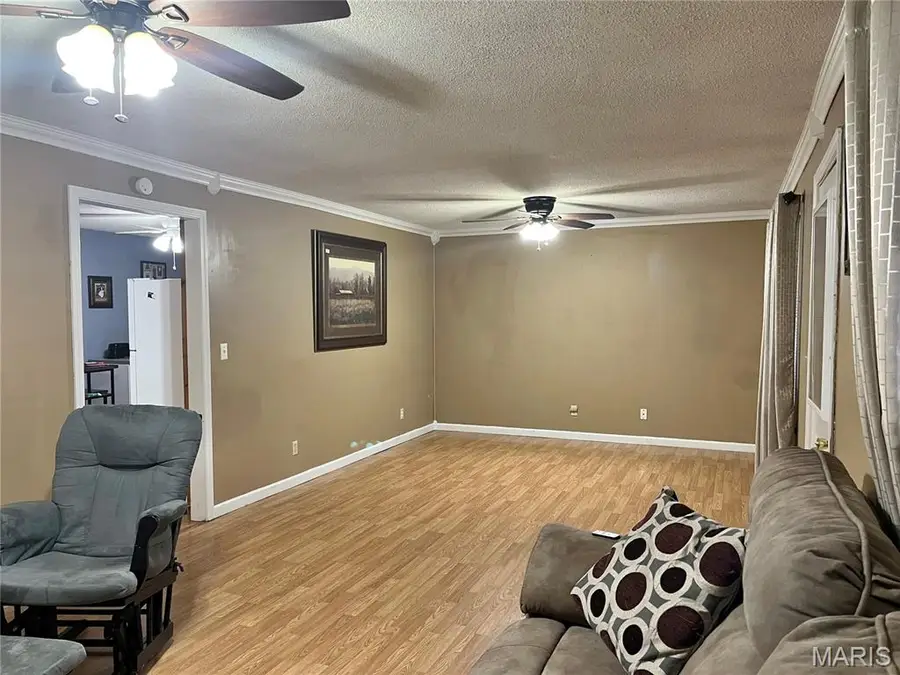 104 Taylor Street, Essex, MO 63846 - #3