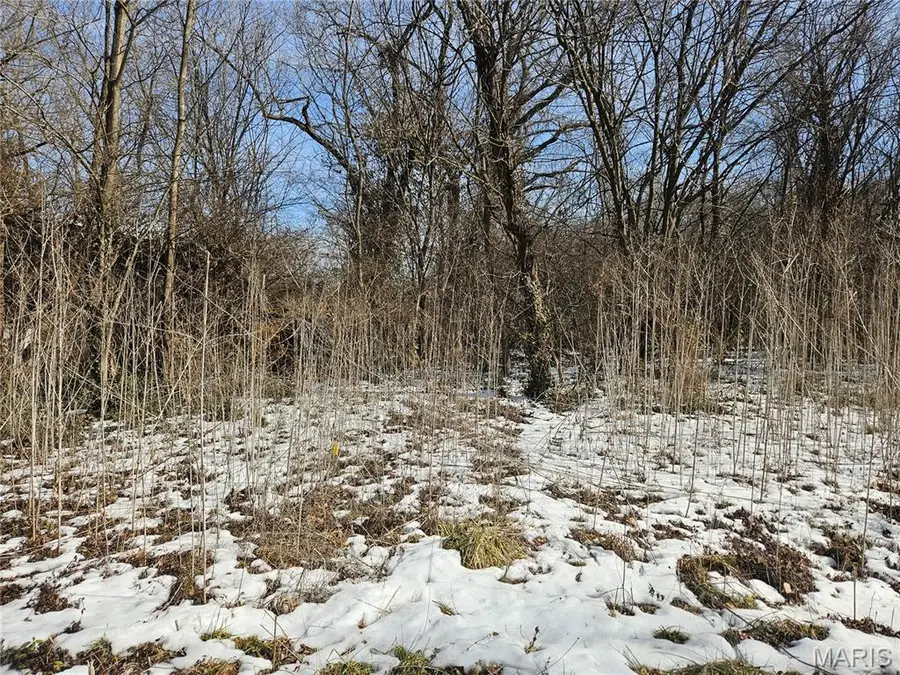 1926 N 60th Street, East Saint Louis, IL 62204 - #2