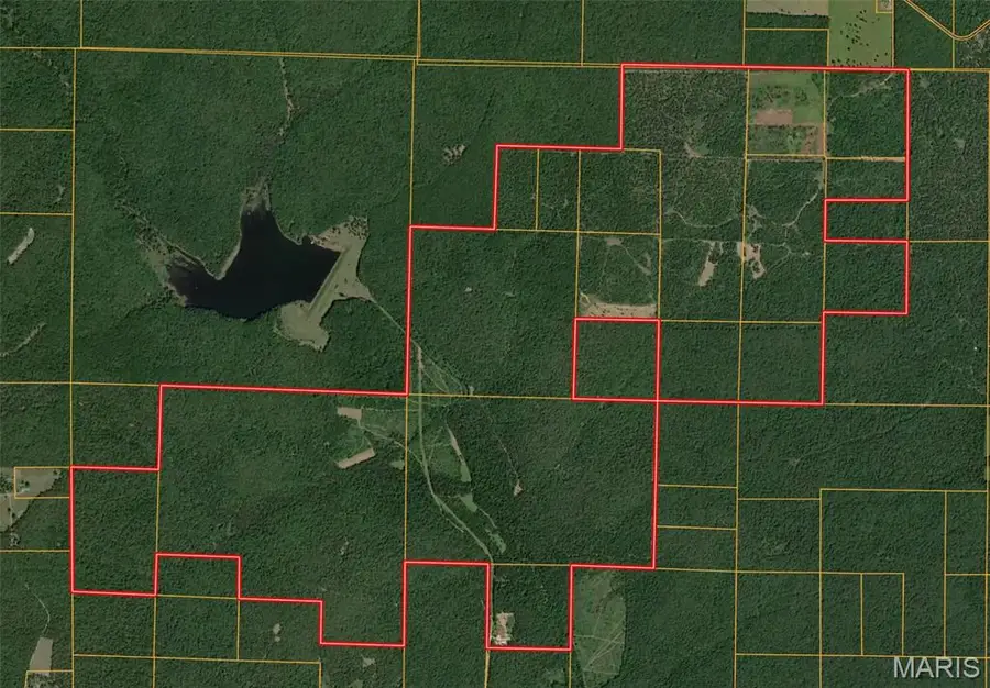 698 Hoot Owl Lane, Grandin, MO 63943 - #2