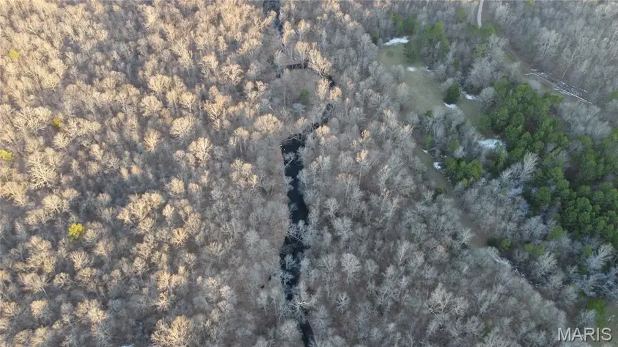 698 Hoot Owl Lane, Grandin, MO 63943 - #3