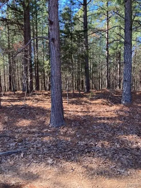 199 Madison Cr 410, Fredericktown, MO 63645