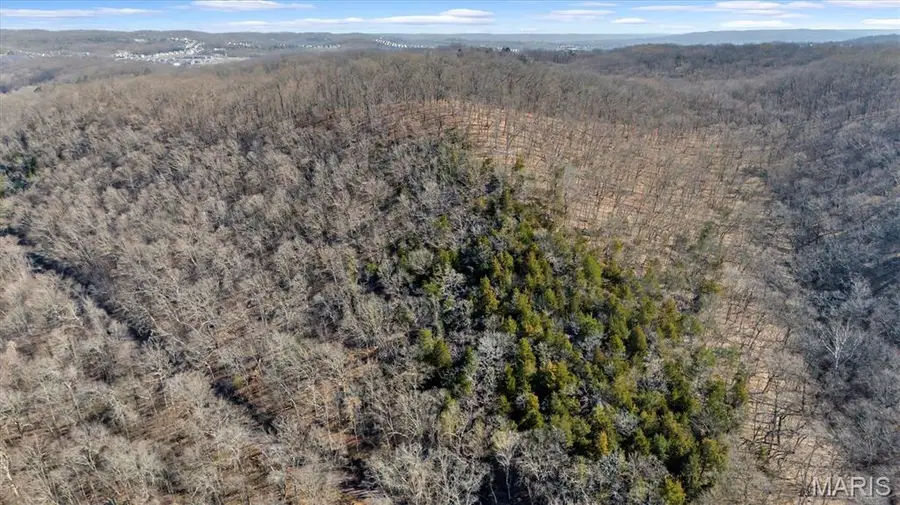 910 Wengler Road, Eureka, MO 63069 - #3