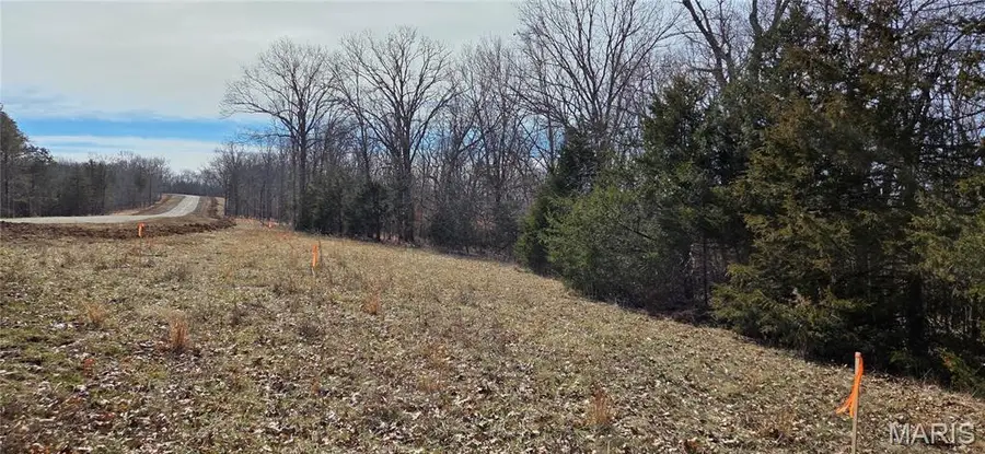 1970 Tanglefoot Farms Rd, Festus, MO 63028 - #3