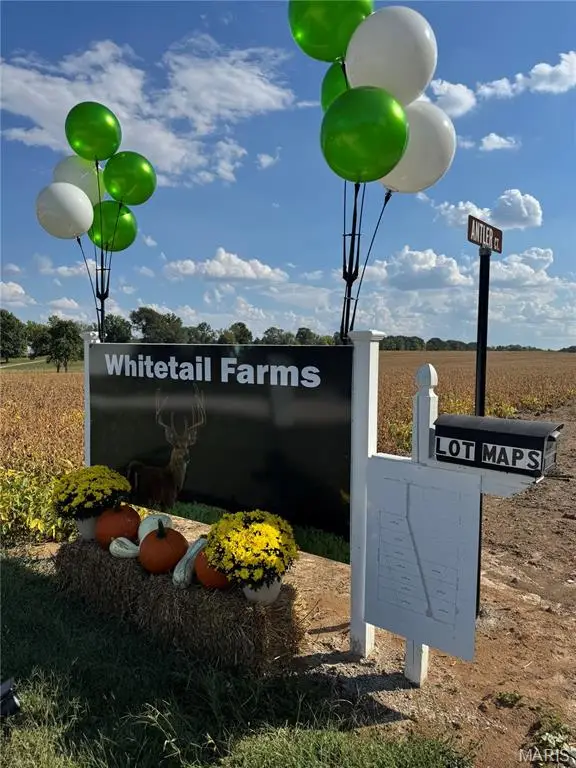 998 Josephville Lot #6, Wentzville, MO 63385