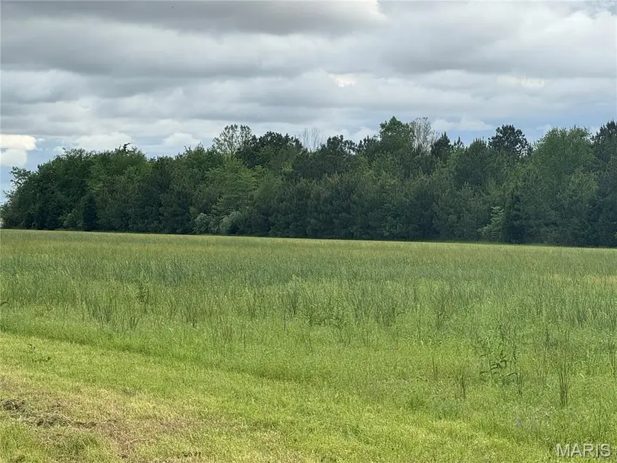 114 County Highway 448, Sikeston, MO 63801 - #3