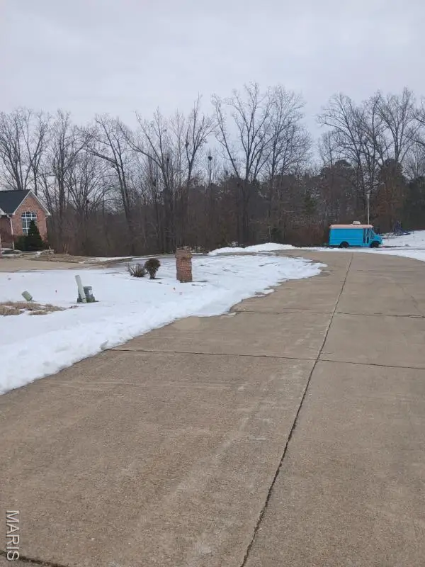 TBD Renee Lane, Poplar Bluff, MO 63901 - #3