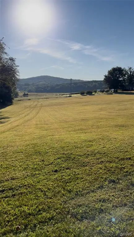 3689 Rouggly Kiepe Road, Festus, MO 63028 - #2