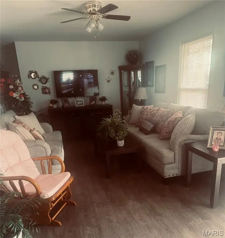 402 Damon Street, Dexter, MO 63841 - #2